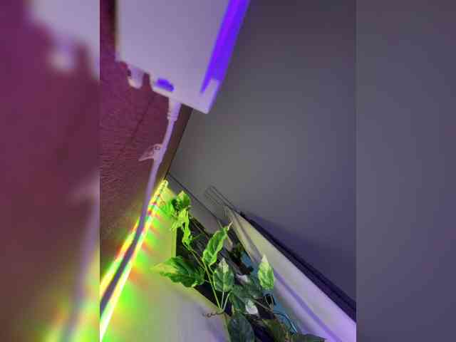 -Darkness- webcam
