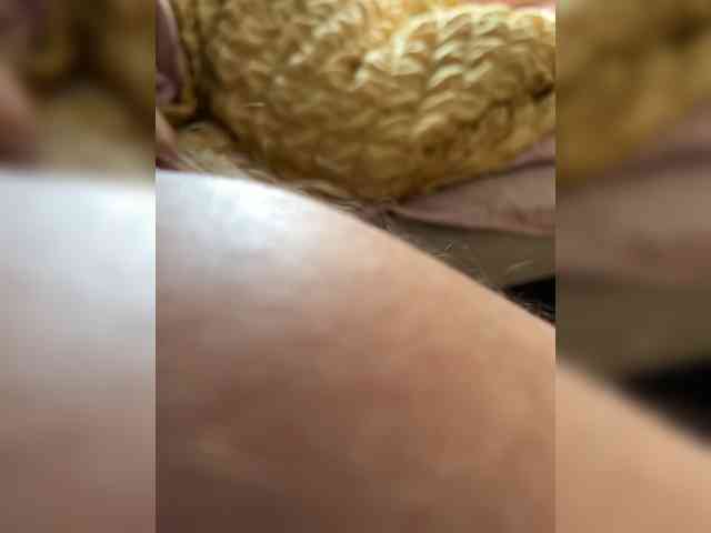 Mira-1-1 webcam
