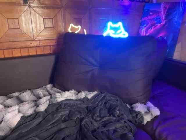 SweetyMeow webcam