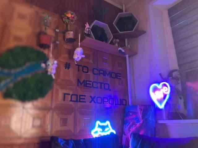 SweetyMeow webcam