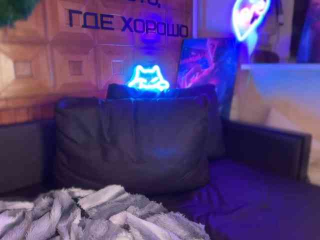 SweetyMeow webcam