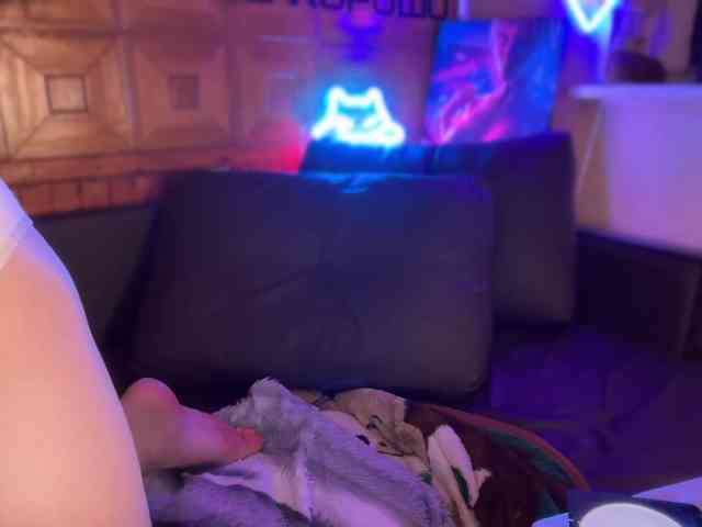 SweetyMeow webcam