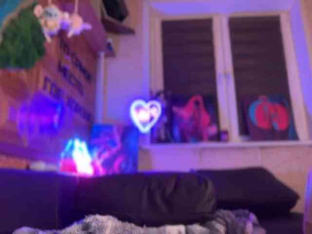 SweetyMeow webcam