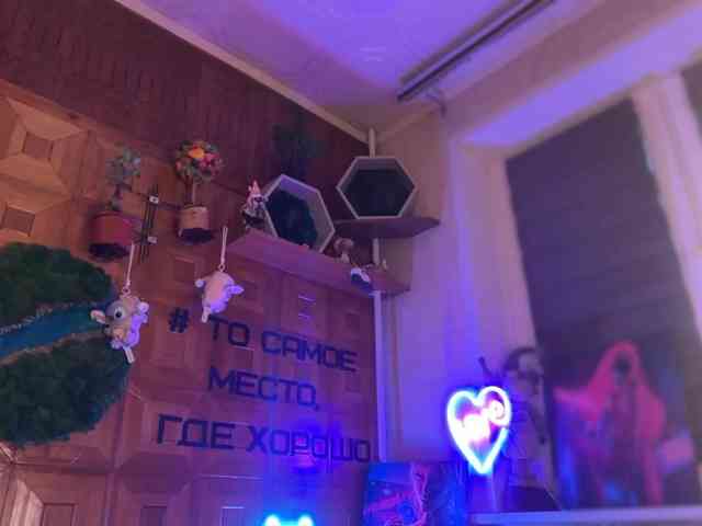 SweetyMeow webcam