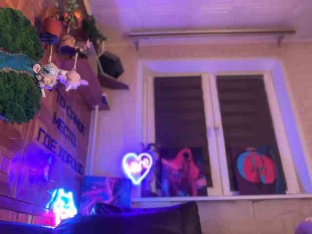 SweetyMeow webcam