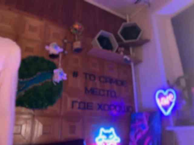 SweetyMeow webcam