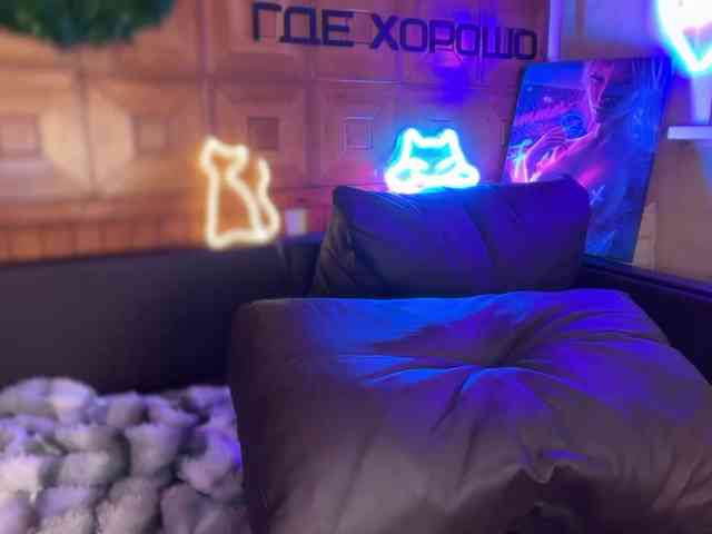 SweetyMeow webcam