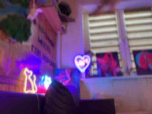 SweetyMeow webcam