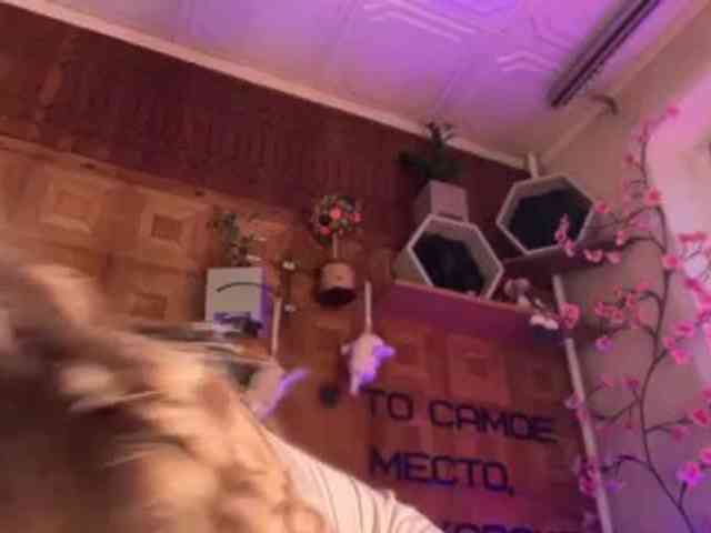 SweetyMeow webcam