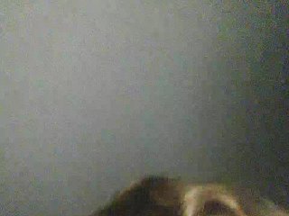 yuliia_3003