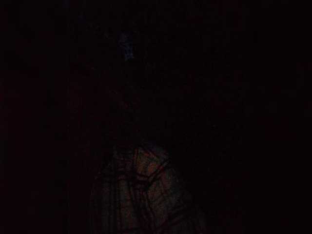 yuliia_3003