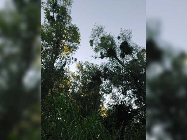 yuliia_3003