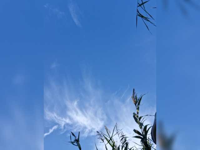yuliia_3003