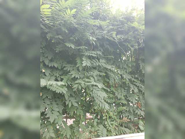 go to chat with yuliia_3003