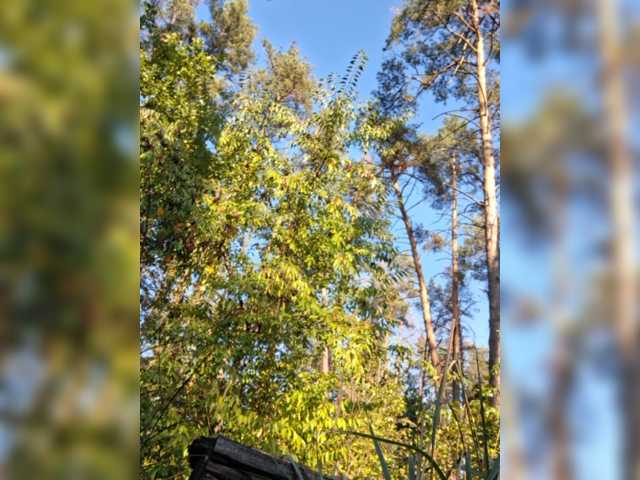 yuliia_3003