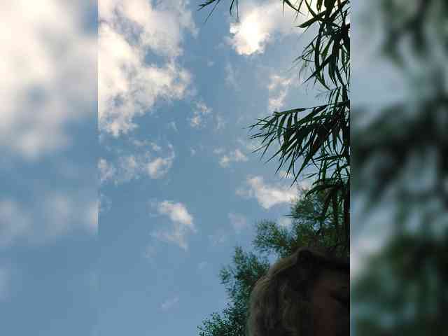 yuliia_3003
