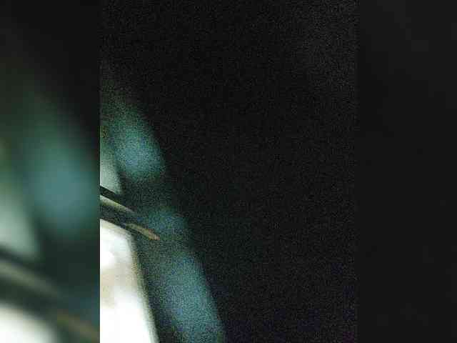 yuliia_3003 webcam