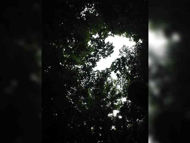 yuliia_3003 webcam