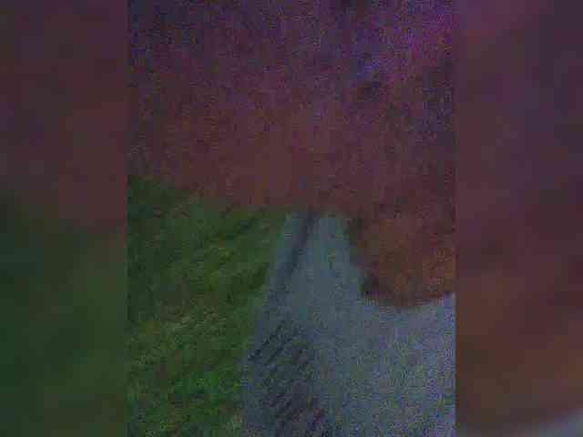 yuliia_3003 webcam