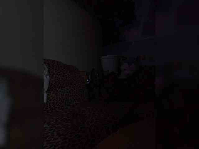 Tatka18111 webcam