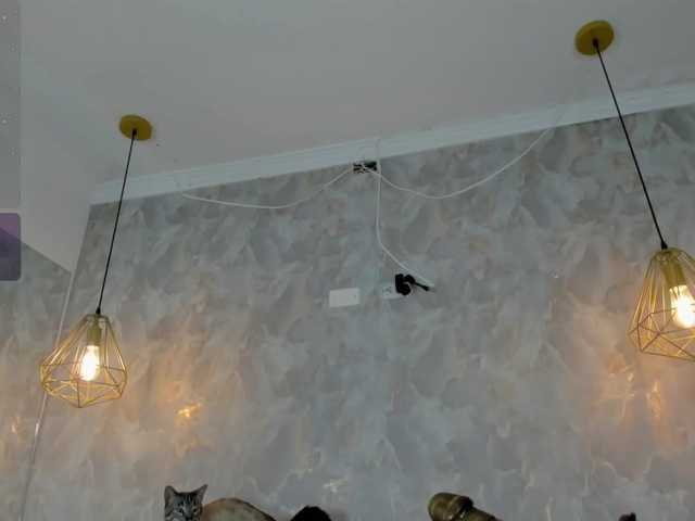 danaylia live cam on BongaCams
