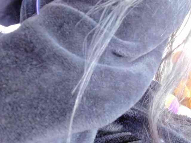 Dana-angels webcam