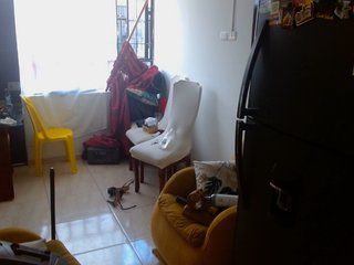 IXCHEL9153