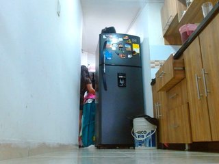 IXCHEL9153