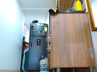 IXCHEL9153