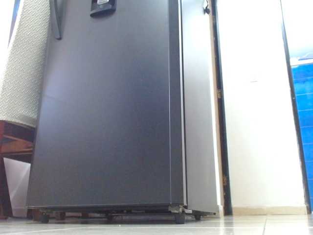 IXCHEL9153