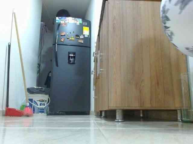 IXCHEL9153