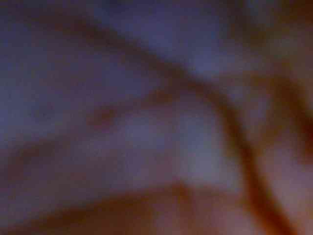IXCHEL9153 webcam