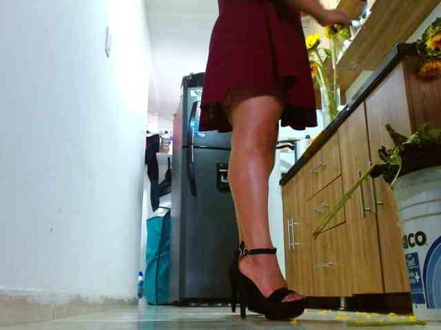 IXCHEL9153 webcam