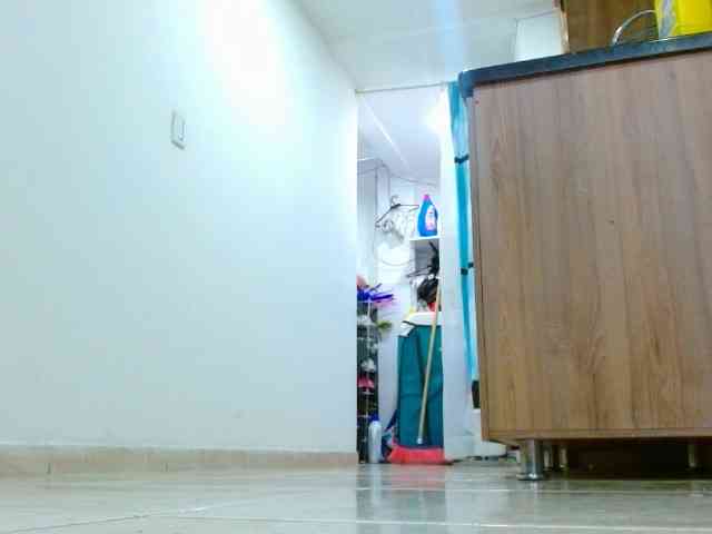IXCHEL9153 webcam