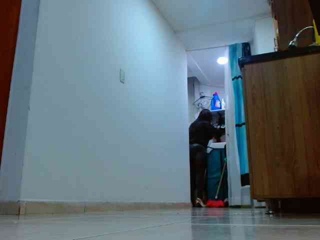 IXCHEL9153 webcam