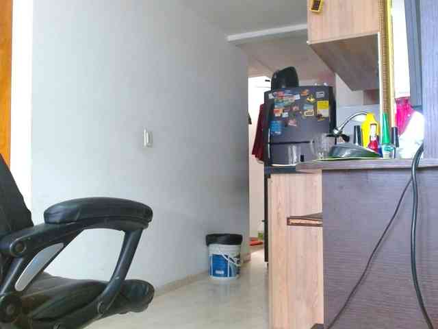 IXCHEL9153 webcam