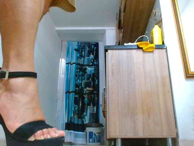 IXCHEL9153 webcam