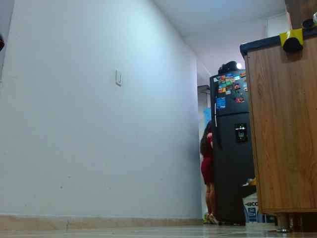 IXCHEL9153 webcam