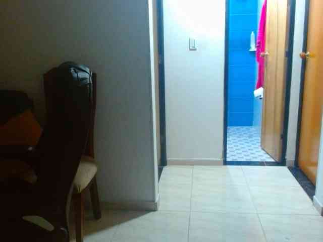 IXCHEL9153