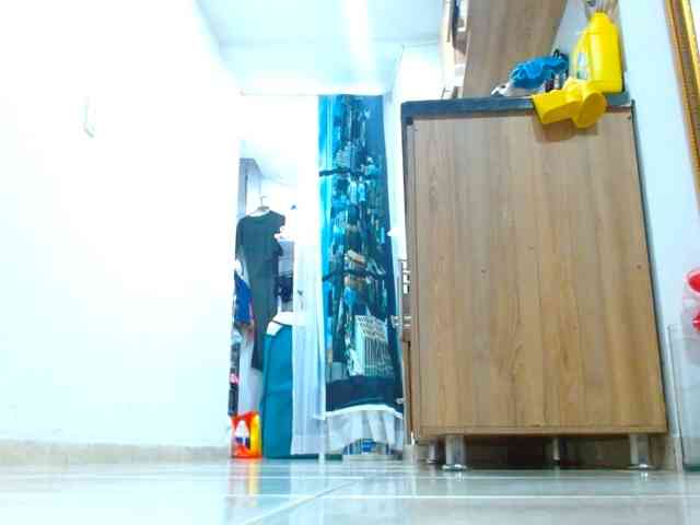IXCHEL9153