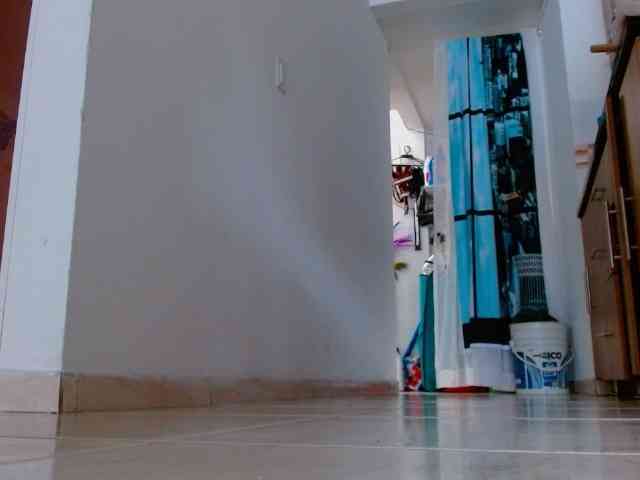 IXCHEL9153 webcam