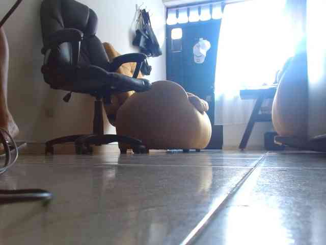 IXCHEL9153 webcam