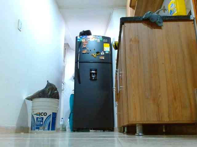 IXCHEL9153 webcam