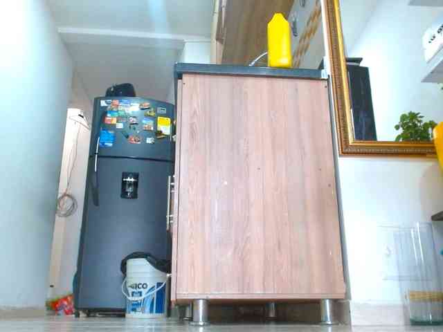 IXCHEL9153