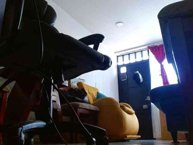 IXCHEL9153 webcam