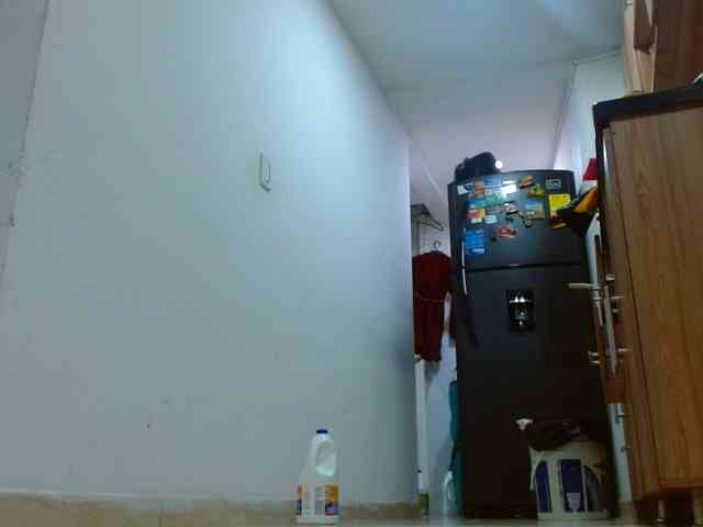IXCHEL9153 webcam