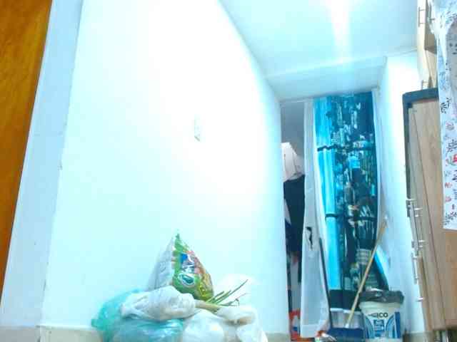 IXCHEL9153