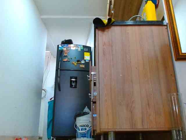 IXCHEL9153 webcam