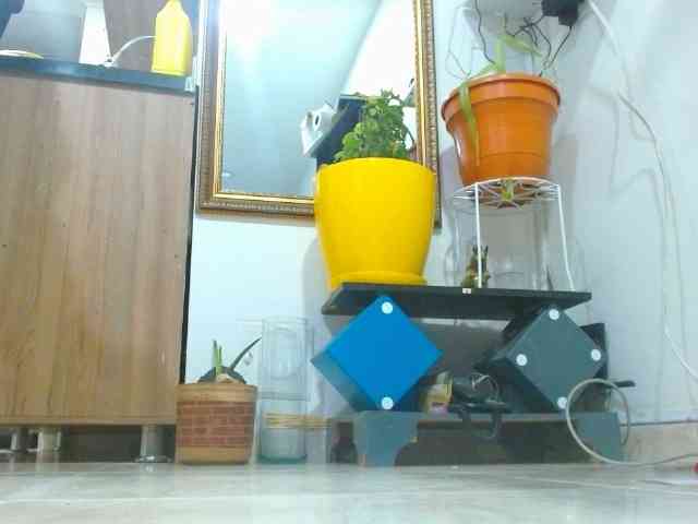 IXCHEL9153 webcam