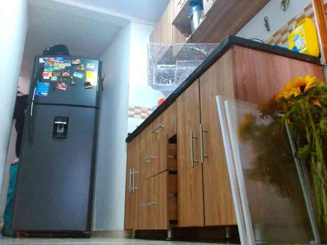 IXCHEL9153 webcam